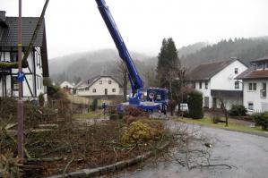 LKW-Arbeitsbühne mit ausgefahrenen Stützen bei Einsatz am Baum