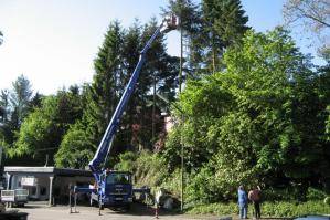 LKW-Arbeitsbühne im Einsatz mit Stützen am Waldrand