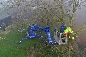 BEYER Raupenarbeitsbühne bei Baumschnittarbeiten im Einsatz