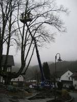 LKW Hebebühnen Baumpflege LB 450 TTK