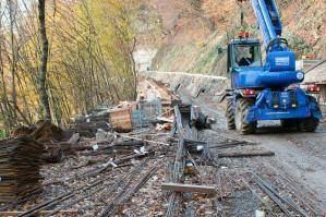 Drehbarer Teleskopstapler mit Seilwinde auf der Baustelle