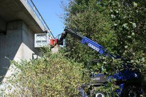 Drehbarer Teleskoplader mit Arbeitskorb im Einsatz