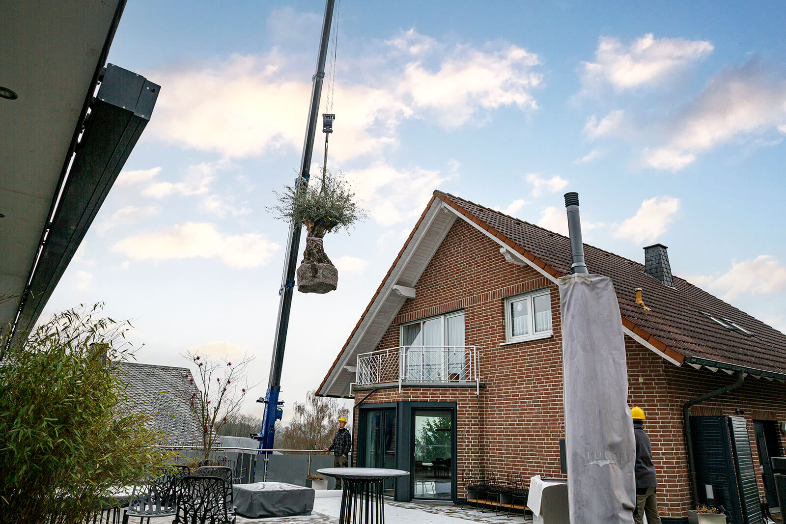 Raupenkran-Einsatz beim Transport von Olivenbaum auf Dachterrasse